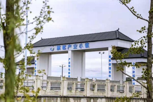 文章附图